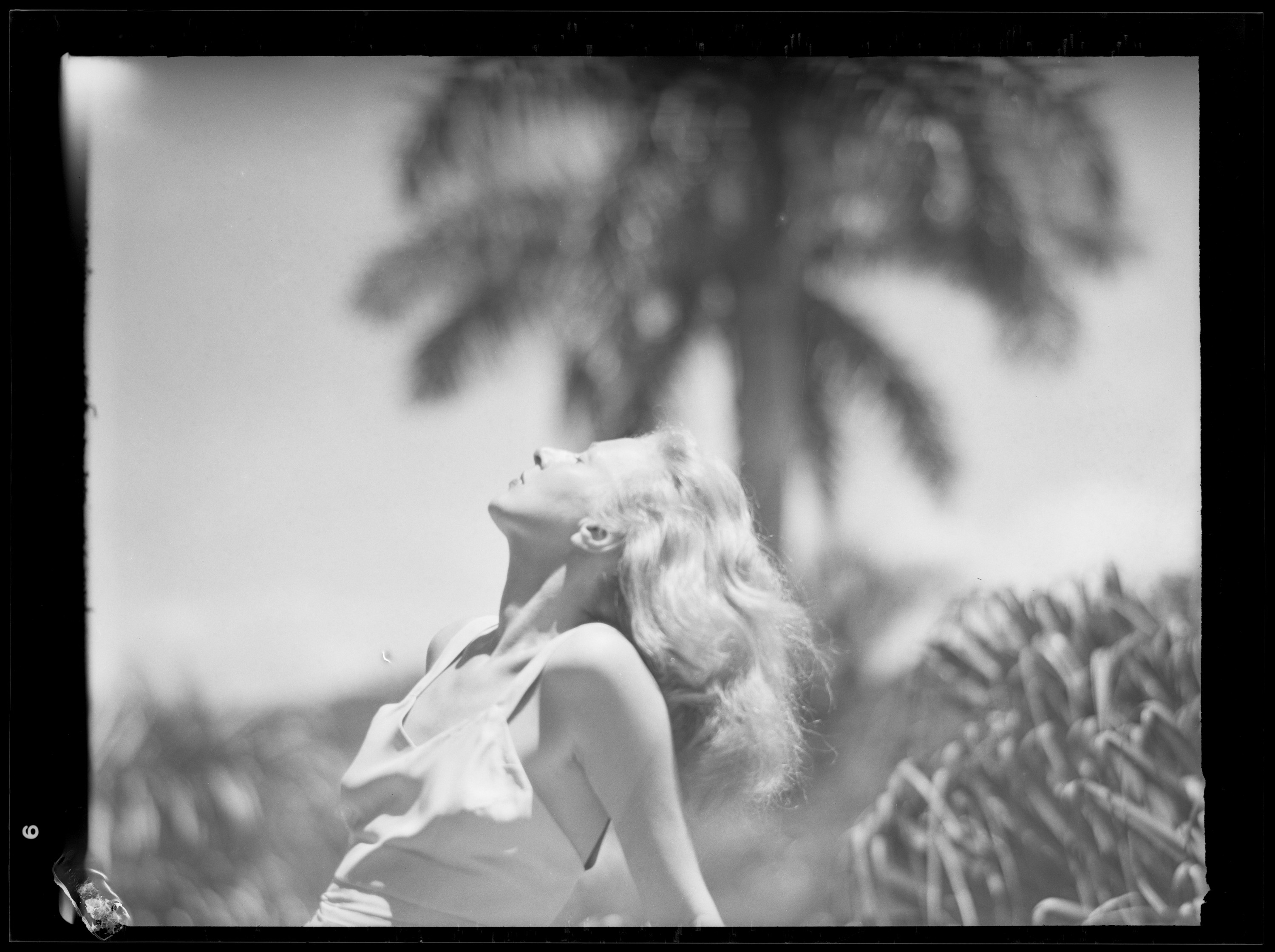 A black and white glamor shot of a platinum blonde Martha Gellhorn, her head thrown back, eyes closed, facing the sun.  Behind her is an out of focus palm tree against a clear sky.